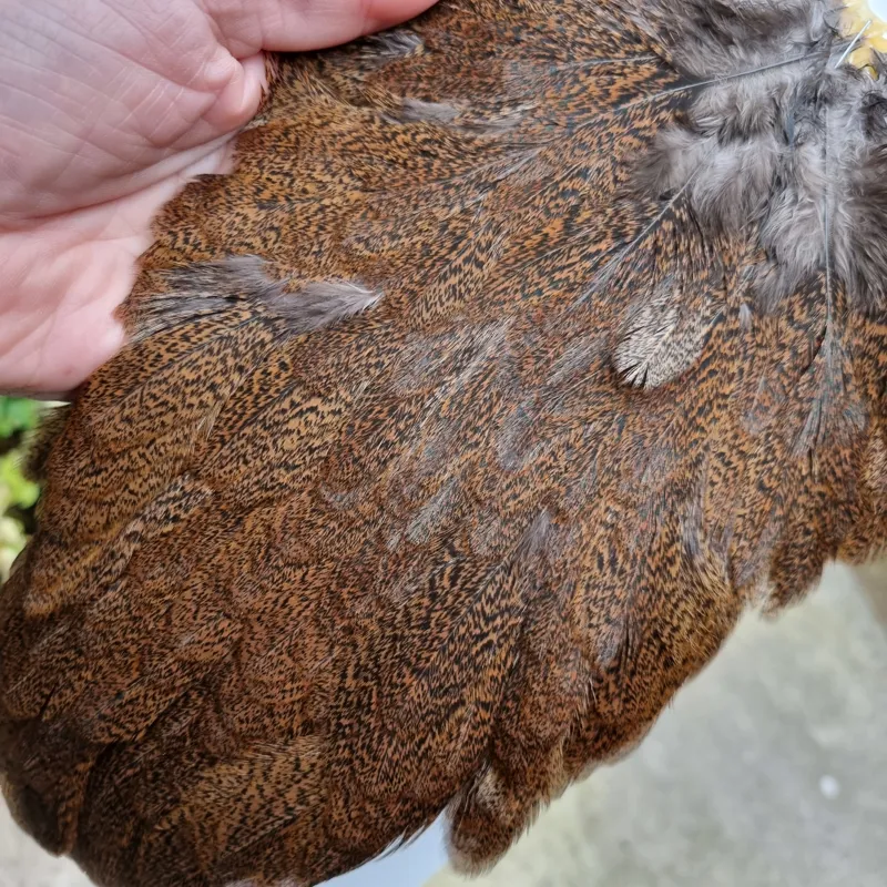 Whiting Coq de Leon Hen Saddle in Natural Ginger Speckled